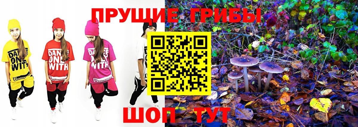 Псилоцибиновые грибы MAGIC MUSHROOMS Можайск