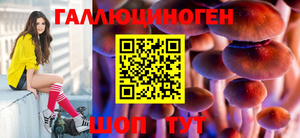 Псилоцибиновые грибы GOLDEN TEACHER  Вход с VPN  Можайск 